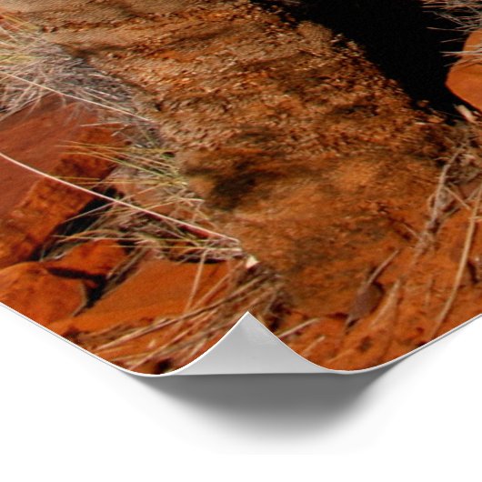 Australian Outback Desert Poster (Hoek)