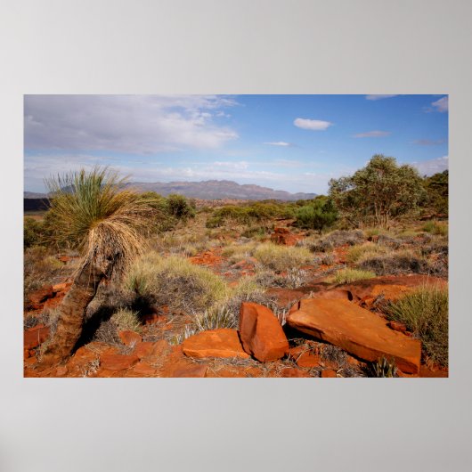 Australian Outback Desert Poster (Voorkant)