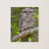 Australian Owl Legpuzzel (Verticaal)