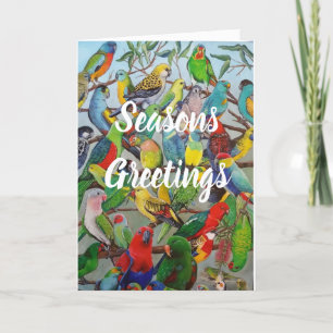 Australian Parakeets Christmas Kaart