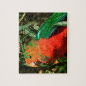 Australian Parrot Legpuzzel (Verticaal)