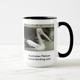 Australian Pelican Mok