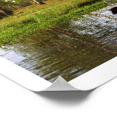 Australian Pelicans, Kakadu National Park, NT Poster (Hoek)