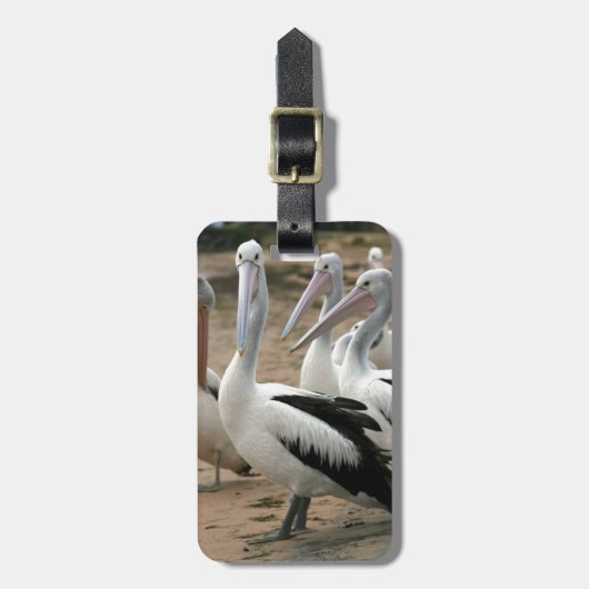 Australian Pelicans op Phillip Island Bagagelabel (Voorkant verticaal)