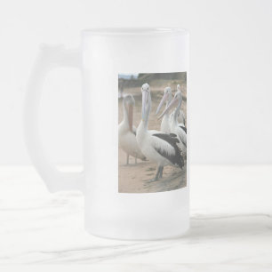 Australian Pelicans op Phillip Island Matglas Bierpul