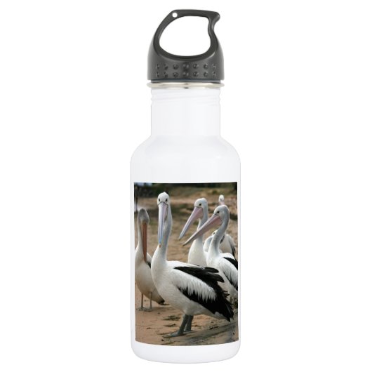 Australian Pelicans op Phillip Island Waterfles (Voorkant)