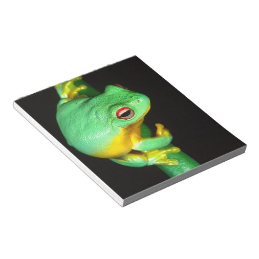 Australian Red Eye Treefrog, Litoria chloris Notitieblok (Schuin)