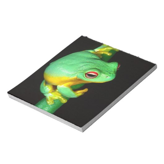 Australian Red Eye Treefrog, Litoria chloris Notitieblok (Linkerzijde)