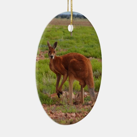Australian red kangaroo ornament (Rechts)
