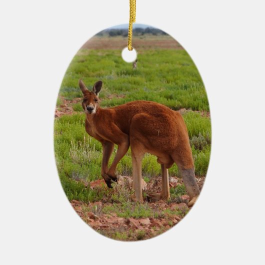 Australian red kangaroo ornament (Voorkant)