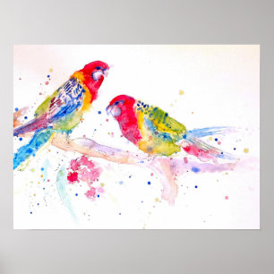 Australian Rosella Parrot Waterverf art Poster