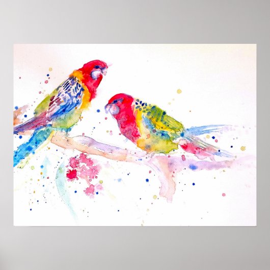 Australian Rosella Parrot Waterverf art Poster (Voorkant)