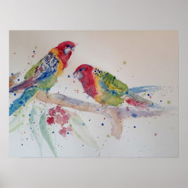Australian Rosella Parrot Waterverf art Poster