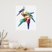 Australian Rosella Parrots Print (Keuken)