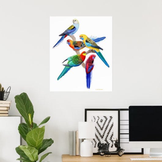 Australian Rosella Parrots Print (Thuiskantoor)