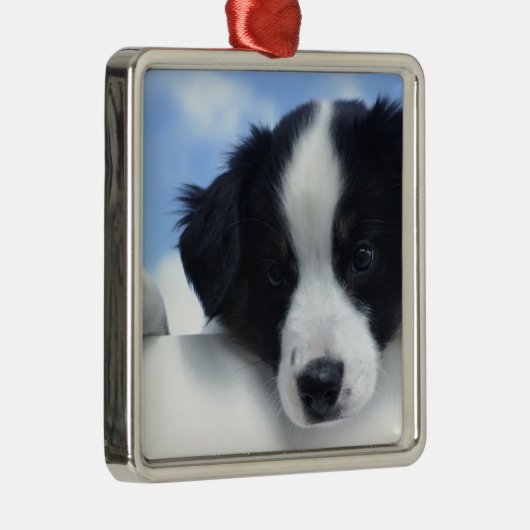 Australian Sheepdog Puppy Metalen Ornament (Rechts)
