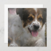 Australian Sheherd Puppy Invitation Kaart (Voorkant / Achterkant)