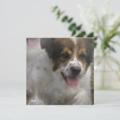 Australian Sheherd Puppy Invitation Kaart (Staand voorkant)