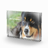 Australian Shepard Dog. Fotoblokken (Rechts)