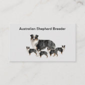 Australian Shephard Dog Breeder Visitekaartjes (Voorkant)