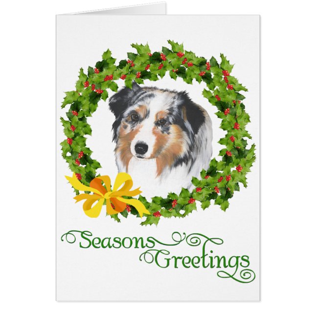 Australian Shepherd (Voorkant)