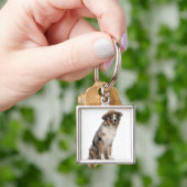 Australian Shepherd (10 maanden oud) met een Sleutelhanger (Hand)