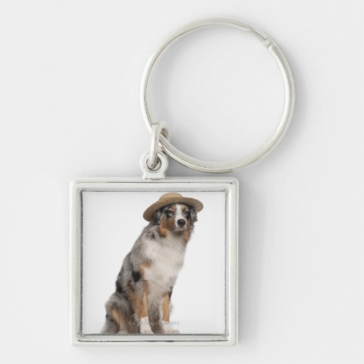 Australian Shepherd (10 maanden oud) met een Sleutelhanger (Voorkant)