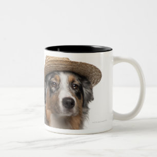 Australian Shepherd (10 maanden oud) met een Tweekleurige Koffiemok