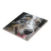 australian-shepherd-32.jpg tegeltje (Zijkant)
