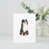 AUSTRALIAN SHEPHERD (A) - Driekleurig Briefkaart (Staand voorkant)