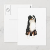 AUSTRALIAN SHEPHERD (A) - Driekleurig Briefkaart (Voorkant / Achterkant)
