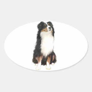 AUSTRALIAN SHEPHERD (A) - Driekleurig Ovale Sticker