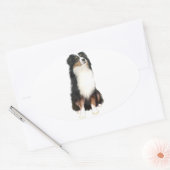 AUSTRALIAN SHEPHERD (A) - Driekleurig Ovale Sticker (Envelop)