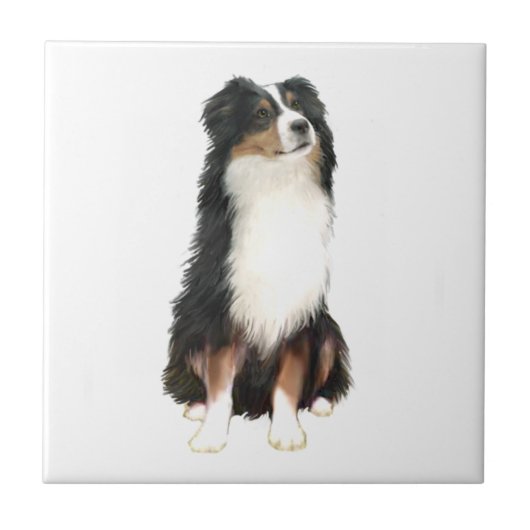 Australian Shepherd (A) - Driekleurig Tegeltje (Voorkant)