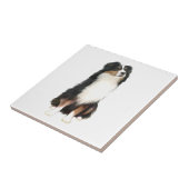 Australian Shepherd (A) - Driekleurig Tegeltje (Zijkant)