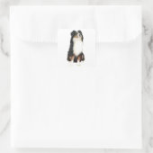 AUSTRALIAN SHEPHERD (A) - Driekleurig Vierkante Sticker (Tas)