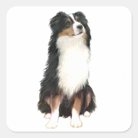 AUSTRALIAN SHEPHERD (A) - Driekleurig Vierkante Sticker (Voorkant)