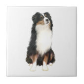 Australian Shepherd (A) - Tri Color Tegeltje (Voorkant)