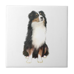 Australian Shepherd (A) - Tri Color Tegeltje