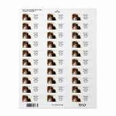Australian Shepherd Adresetiketten Etiket (Full Sheet)