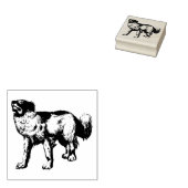 Australian Shepherd aka Aussie Hondenras Rubberstempel (Gestempeld)