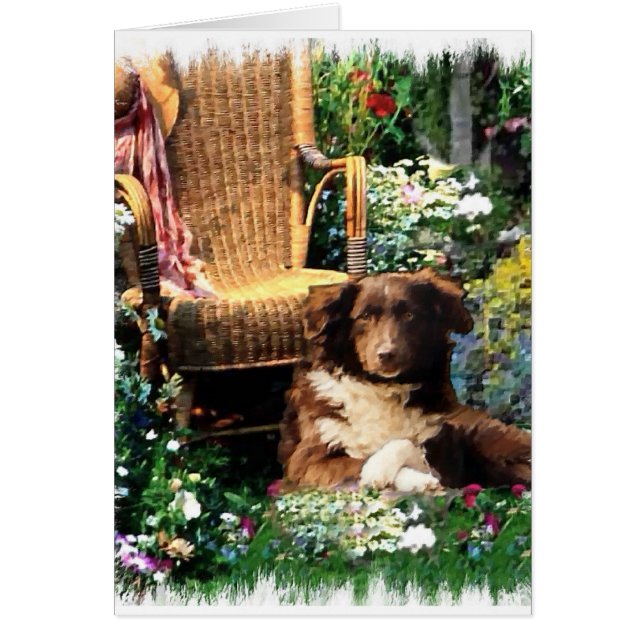 Australian Shepherd Art Gifts (Voorkant)