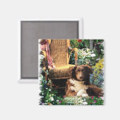Australian Shepherd Art Gifts Magneet (Voorkant / Achterkant)