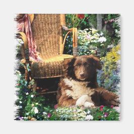 Australian Shepherd Art Gifts Magneet