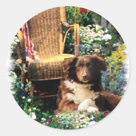 Australian Shepherd Art Gifts Ronde Sticker