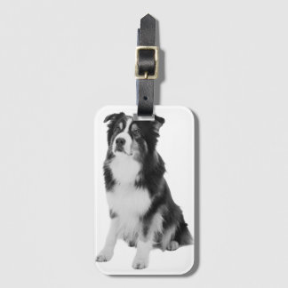 Australian Shepherd Bagagelabel