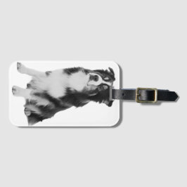 Australian Shepherd Bagagelabel
