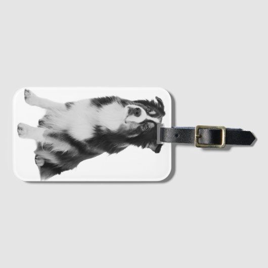 Australian Shepherd Bagagelabel (Voorkant (horizontaal))