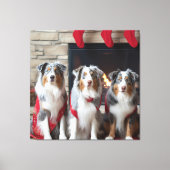 Australian Shepherd bij de open haard Kerstmis Canvas Afdruk (Voorkant)