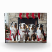 Australian Shepherd bij de open haard Kerstmis Fotoblokken (Voorkant)